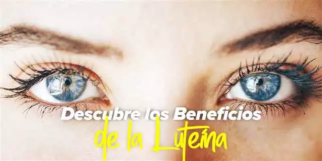 Beneficios de Ocuvit para la salud ocular: Mejore su visión y proteja sus ojos
