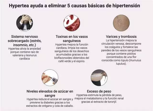 Beneficios De Hypertea En Almería