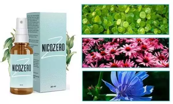 Ingredientes de Nicozero: Descubre los componentes naturales de este producto