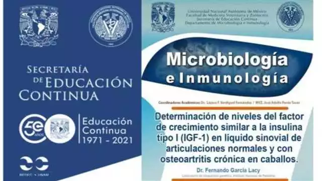 Insulinorm en Tenerife: Regula tus niveles de insulina en la isla