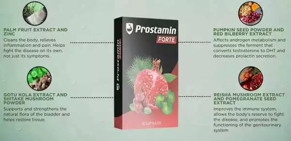 Precio de Prostamin en Lleida – Encuentre el Mejor Tratamiento para la Prostatitis en su Ciudad