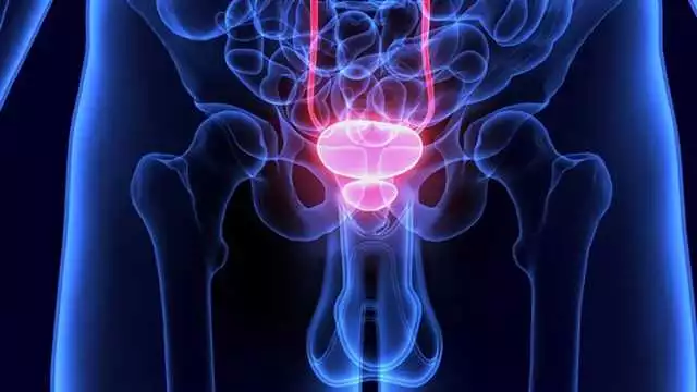 ¿Qué Es Prostaktiv Y Qué Beneficios Ofrece Para La Salud De La Próstata?